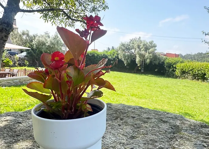 A De Silva, Accesible En As Cortinas Lejlighed Coens