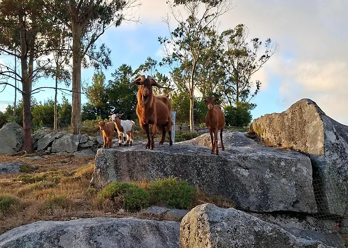 Lejlighed A De Silva, Accesible En As Cortinas