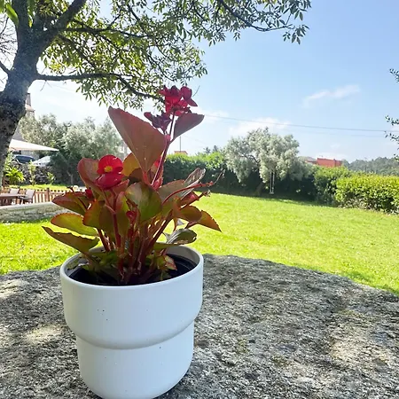 A De Silva, Rural Y Accesible Apartment Coens