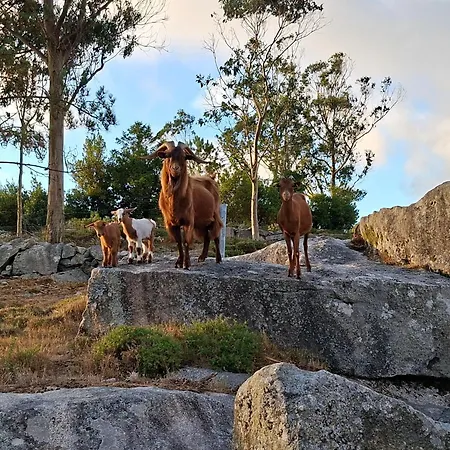 Apartamento A De Silva, Rural Y Accesible